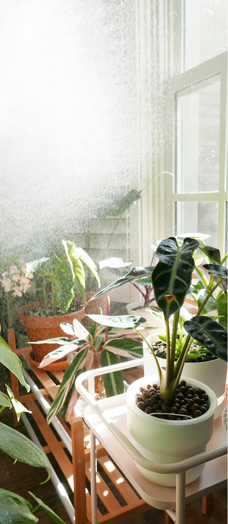 Indoor